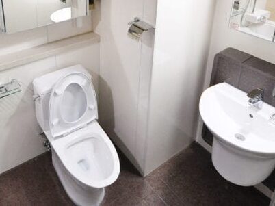 Toilet replacement & installation (supply & fit)