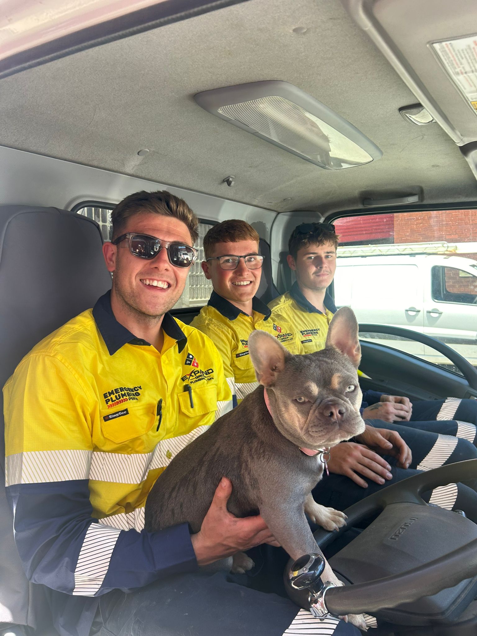 pic of the boys plus pip